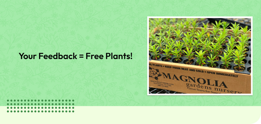 Your Feedback = Free Plants!