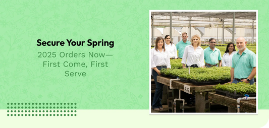 Secure Your Spring 2025 Orders Now—First Come, First Serve