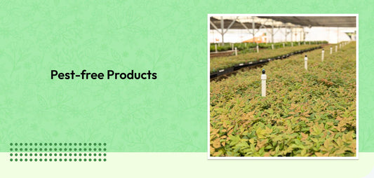 Pest-free Products