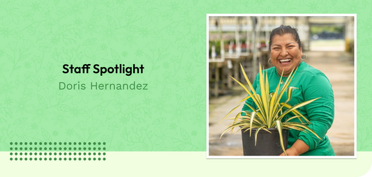 Staff Spotlight: Doris Hernandez