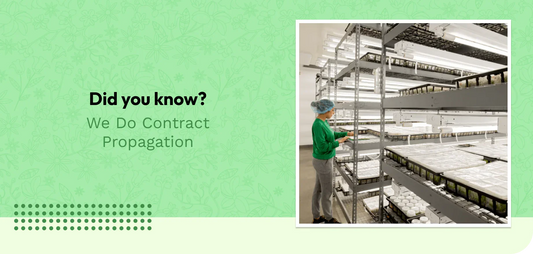 Did You Know? We Do Contract Propagation