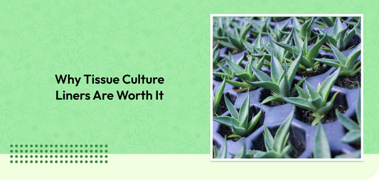 Why Tissue Culture Liners Are Worth It