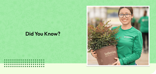 Did You Know?