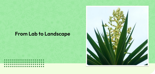 From Lab to Landscape