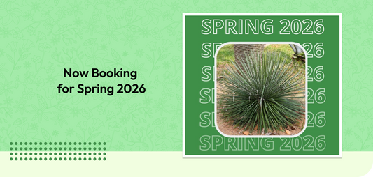 Now Booking for Spring 2026