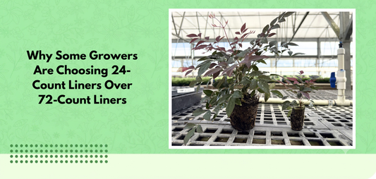 Why Some Growers Are Choosing 24-Count Liners Over 72-Count Liners